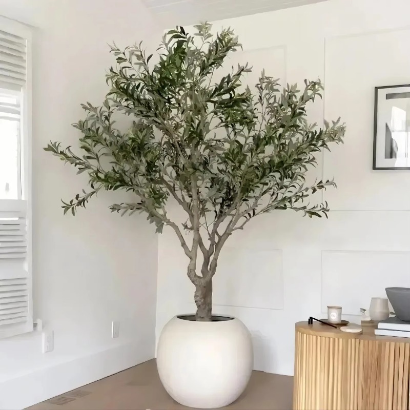 Indoor Plants - Customizable 90cm 120cm 150cm 180cm 210cm