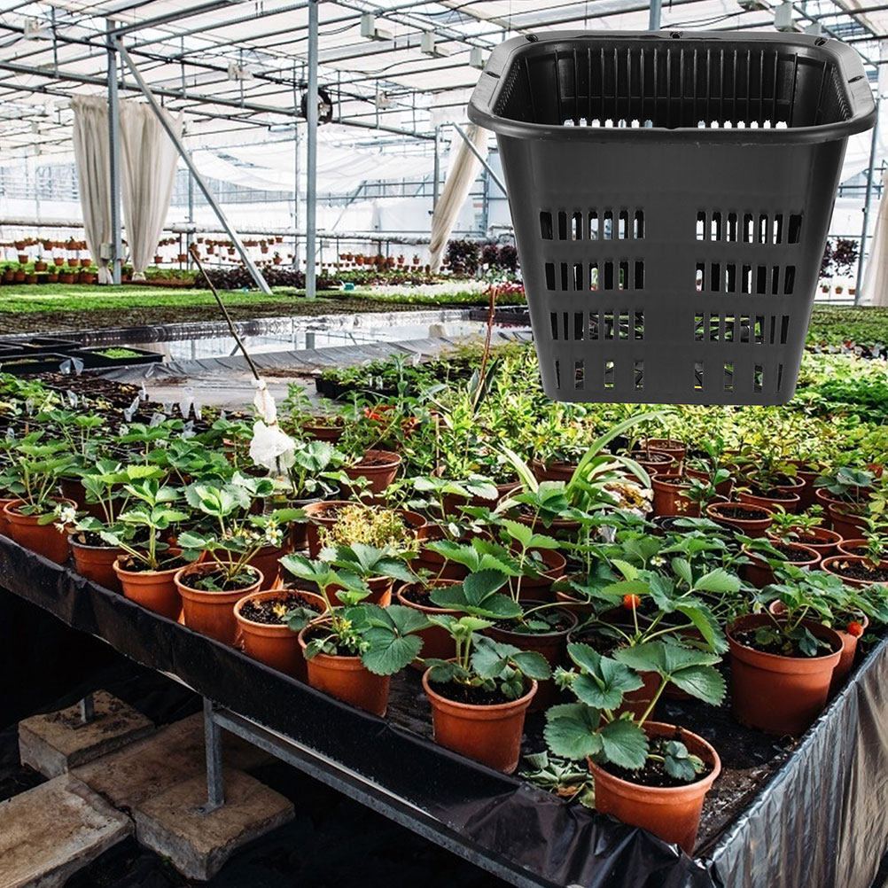 15 pcs Root Control Flowerpot  - огляд і ціна Indoor Plants