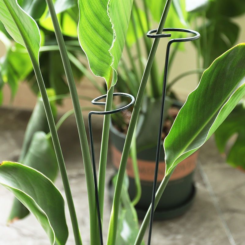 1/10pcs Garden Support Stake R - огляд і ціна Plant Support Stake