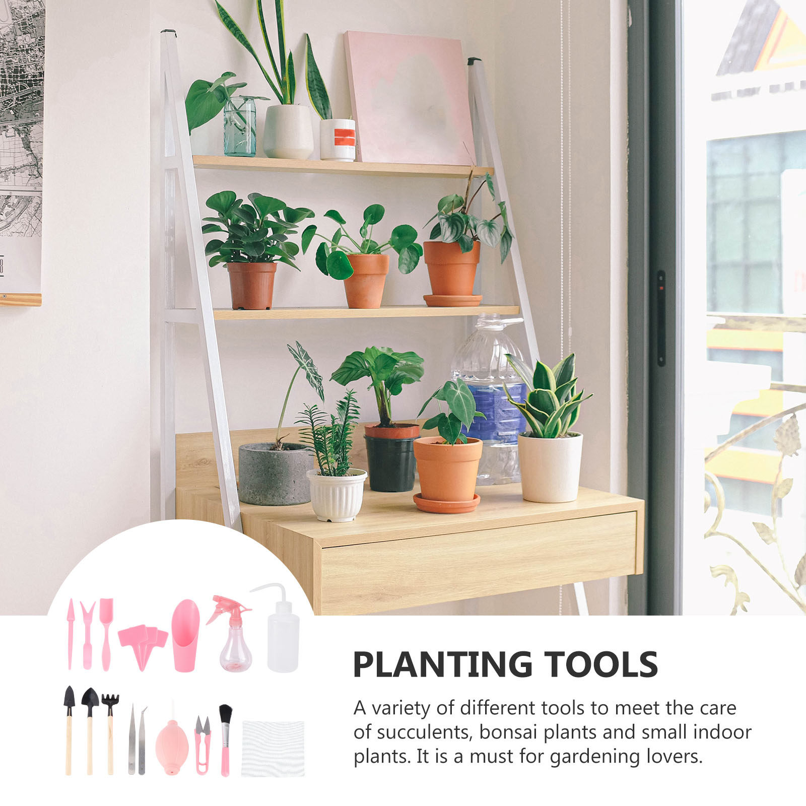1Set Mini Succulent Planting T - огляд і ціна Succulent Set