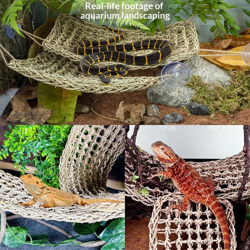Reptile Flexible Jungle Vine D - огляд і ціна Snake Plant