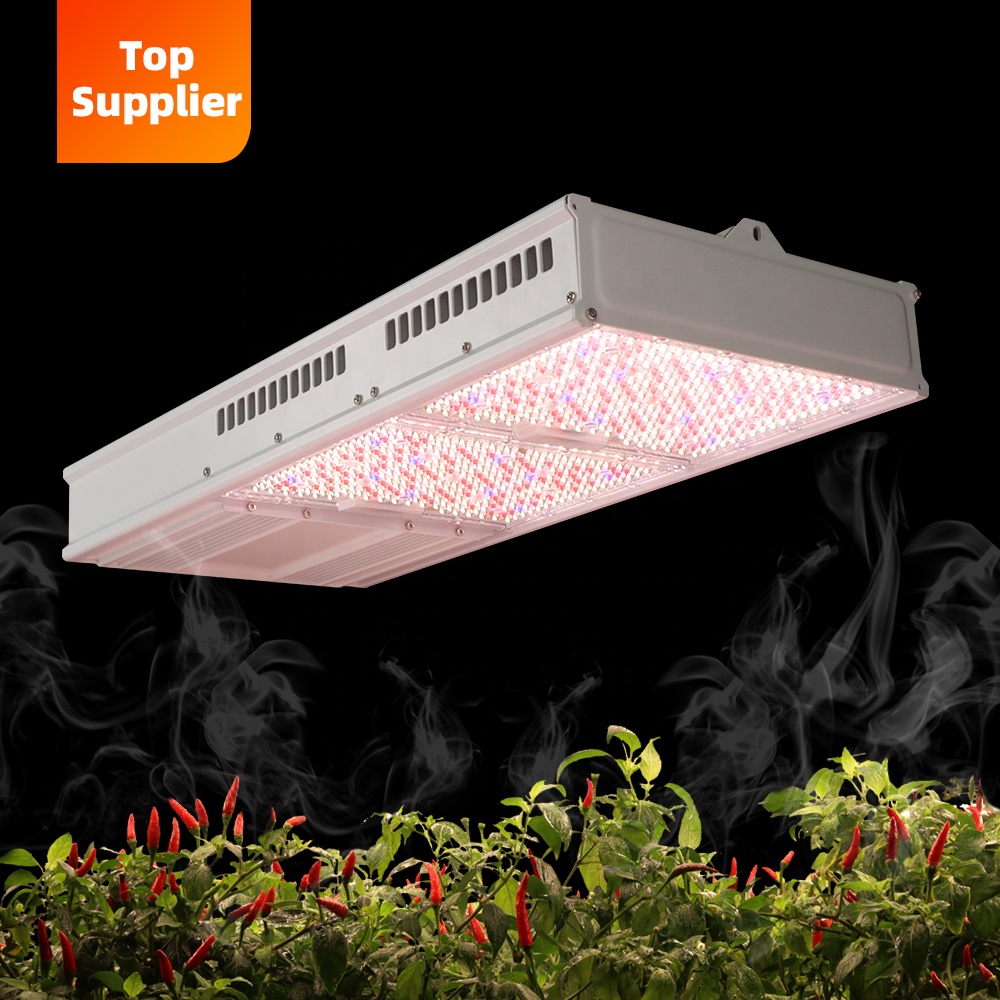 Cost-Effective 600W 800W Topli - огляд і ціна Indoor Plants