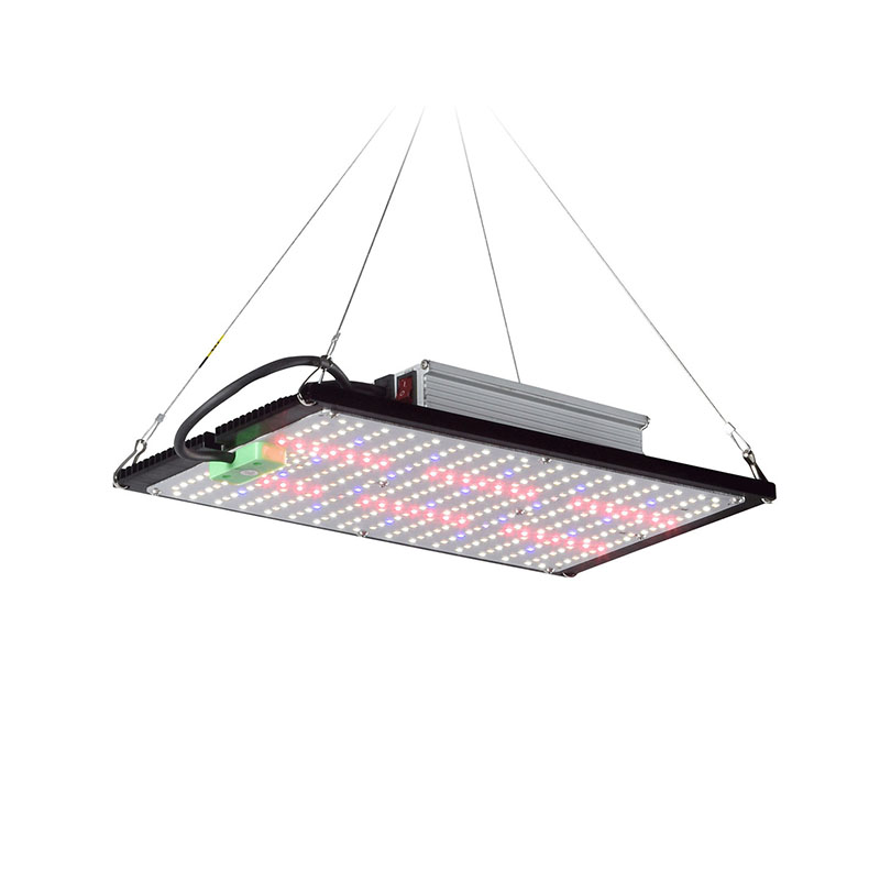 LED Quantum‑Board Grow Light F - огляд і ціна Indoor Plants