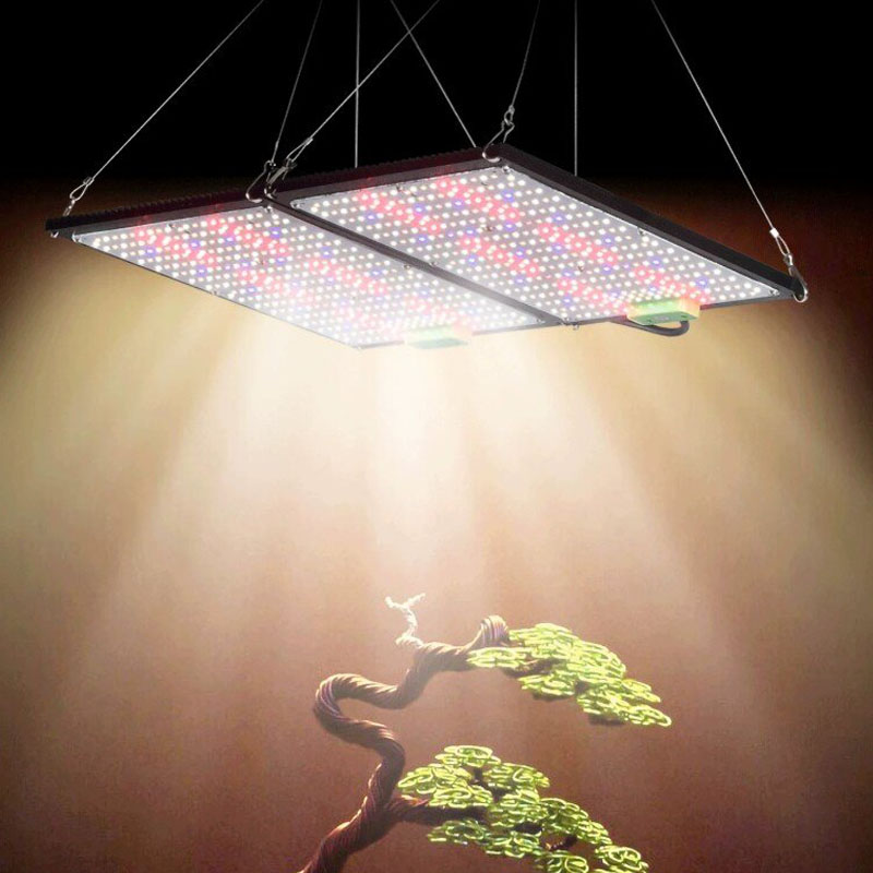 LED Quantum‑Board Grow Light F - огляд і ціна Indoor Plants