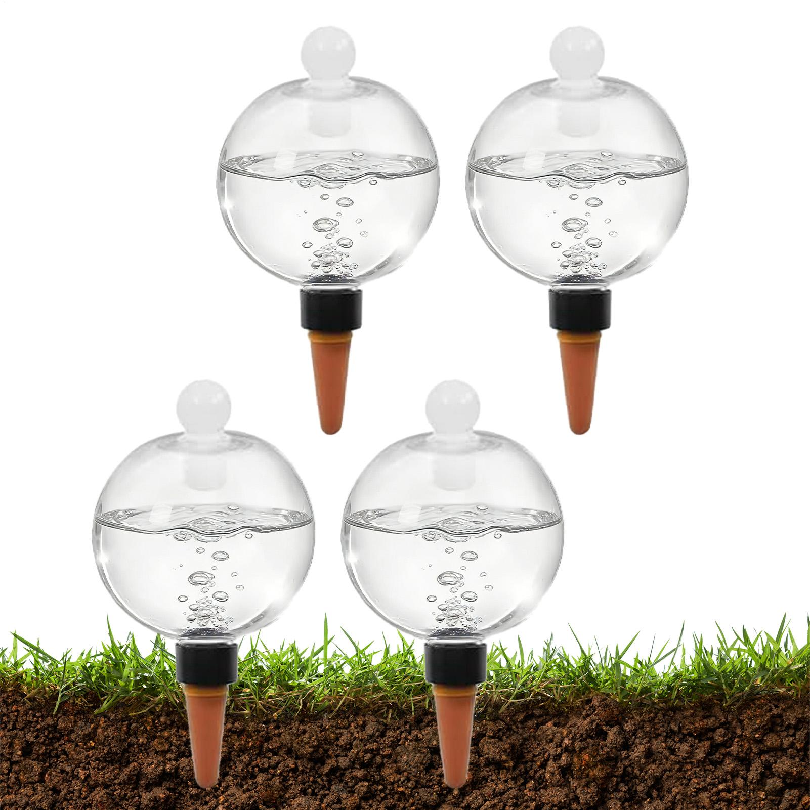 Plant Watering Bulbs 4pcs 500m - огляд і ціна Succulent Set