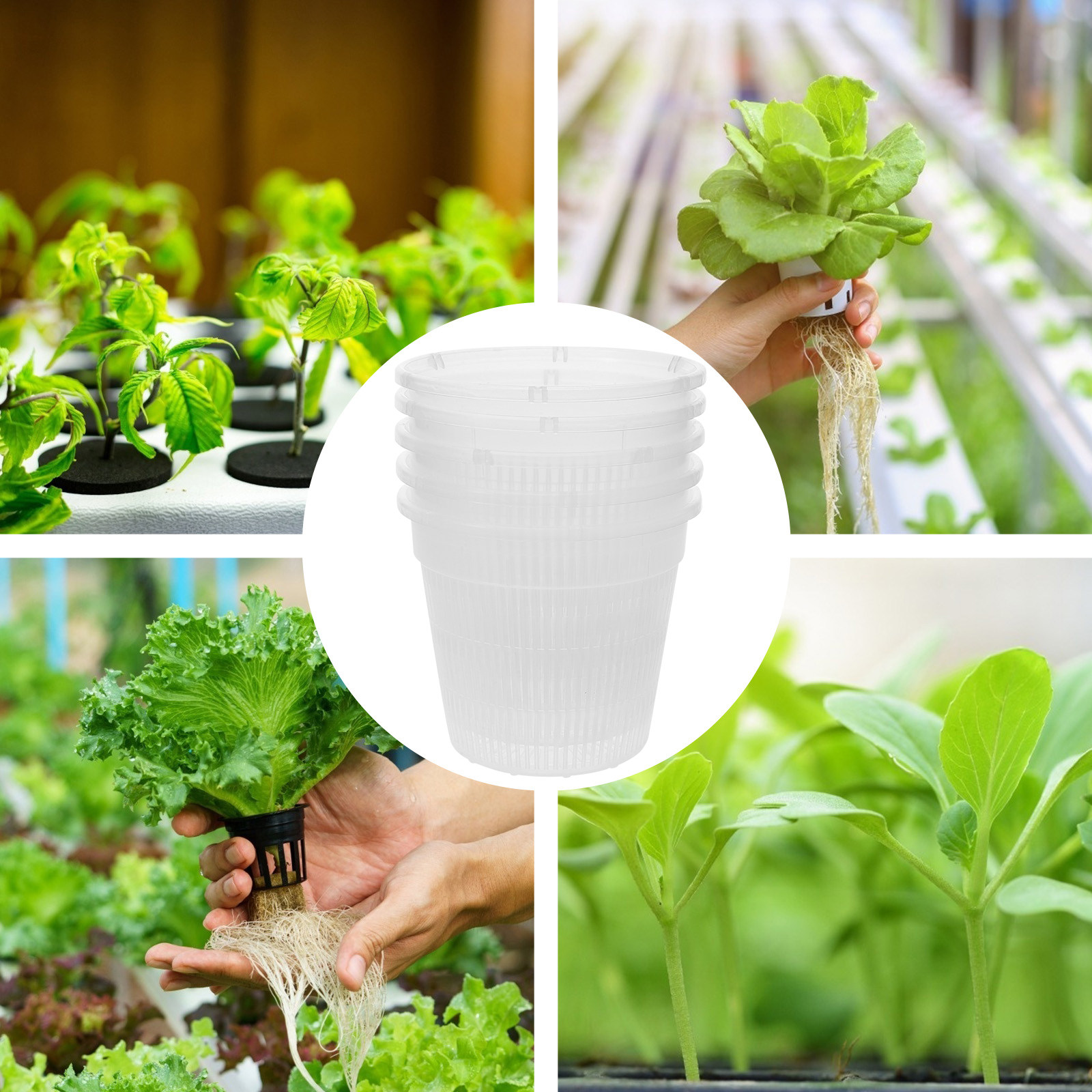 5Pcs Hydroponic Planting Net P - огляд і ціна Indoor Plants