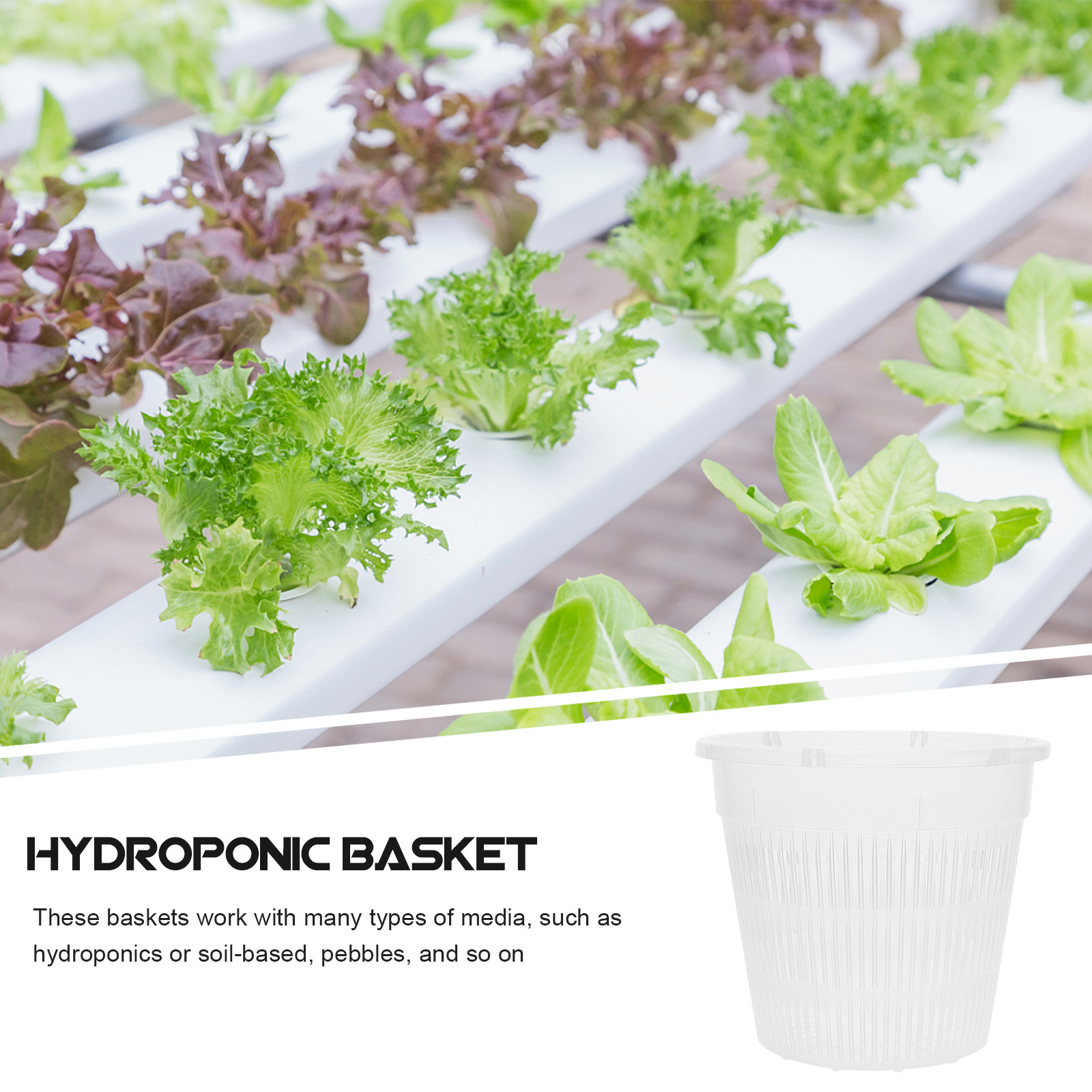 5Pcs Hydroponic Planting Net P - огляд і ціна Indoor Plants