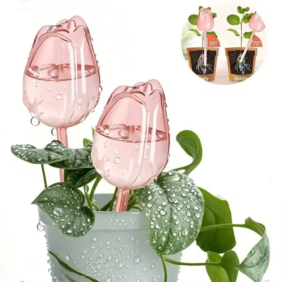 Transparent Thick PET Tulip Sh - огляд і ціна Pothos