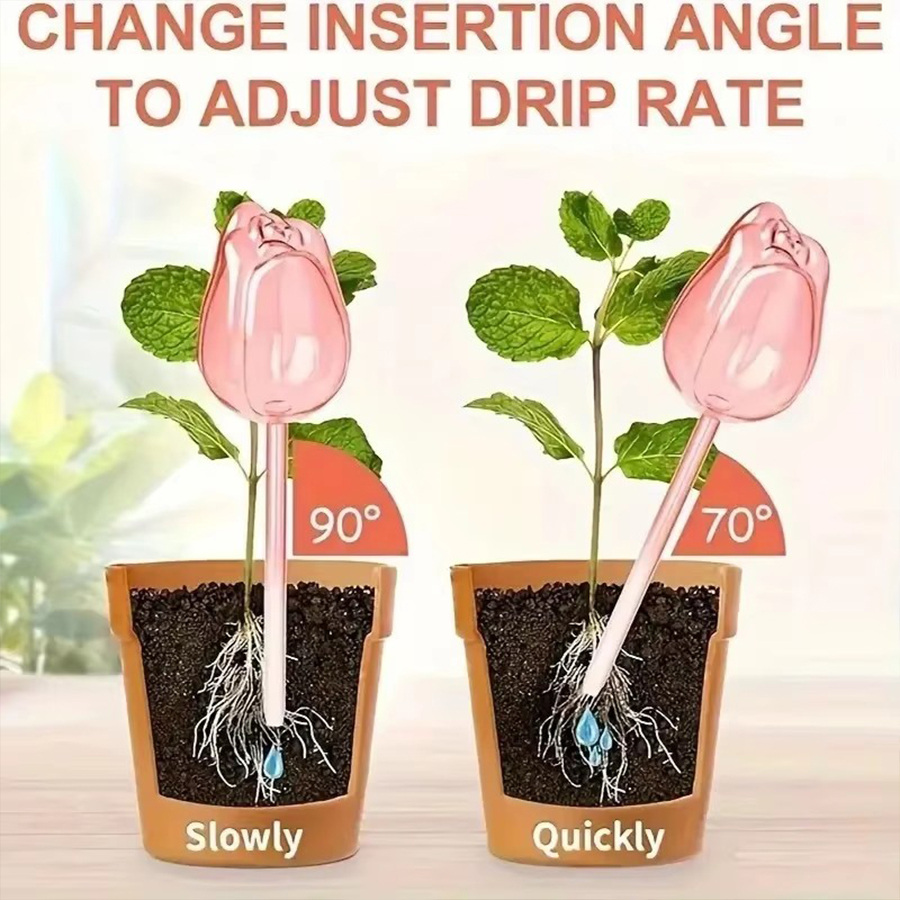 Transparent Thick PET Tulip Sh - огляд і ціна Pothos