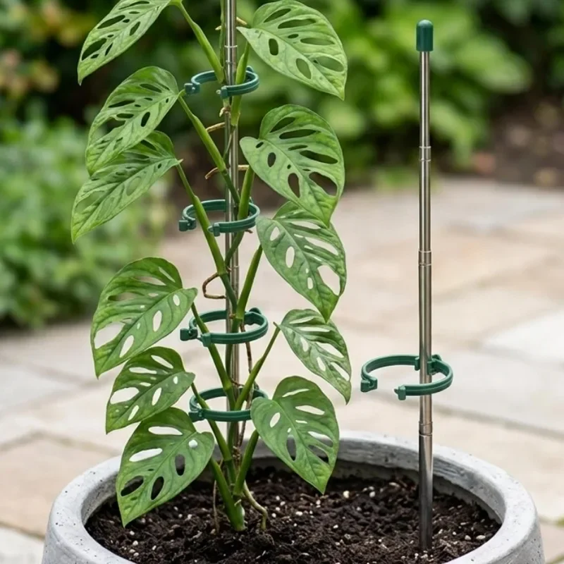 5/1PCS Retractable Plant Suppo - огляд і ціна Plant Support Stake