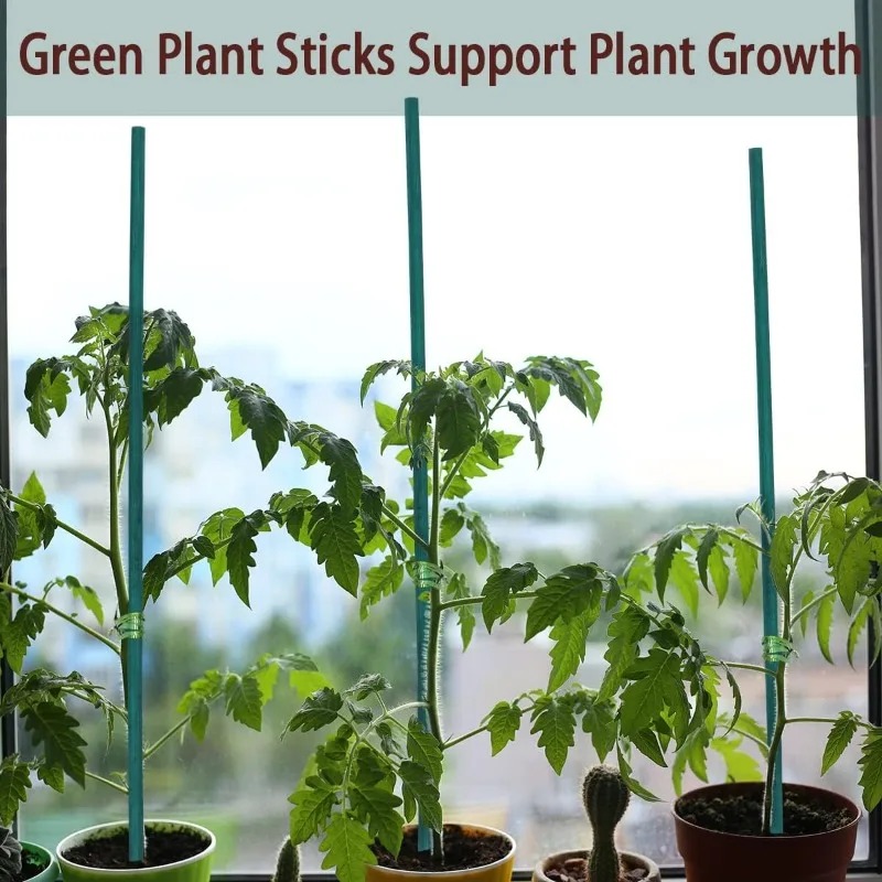 Plant Support Sticks Canes Bam - огляд і ціна Plant Support Stake
