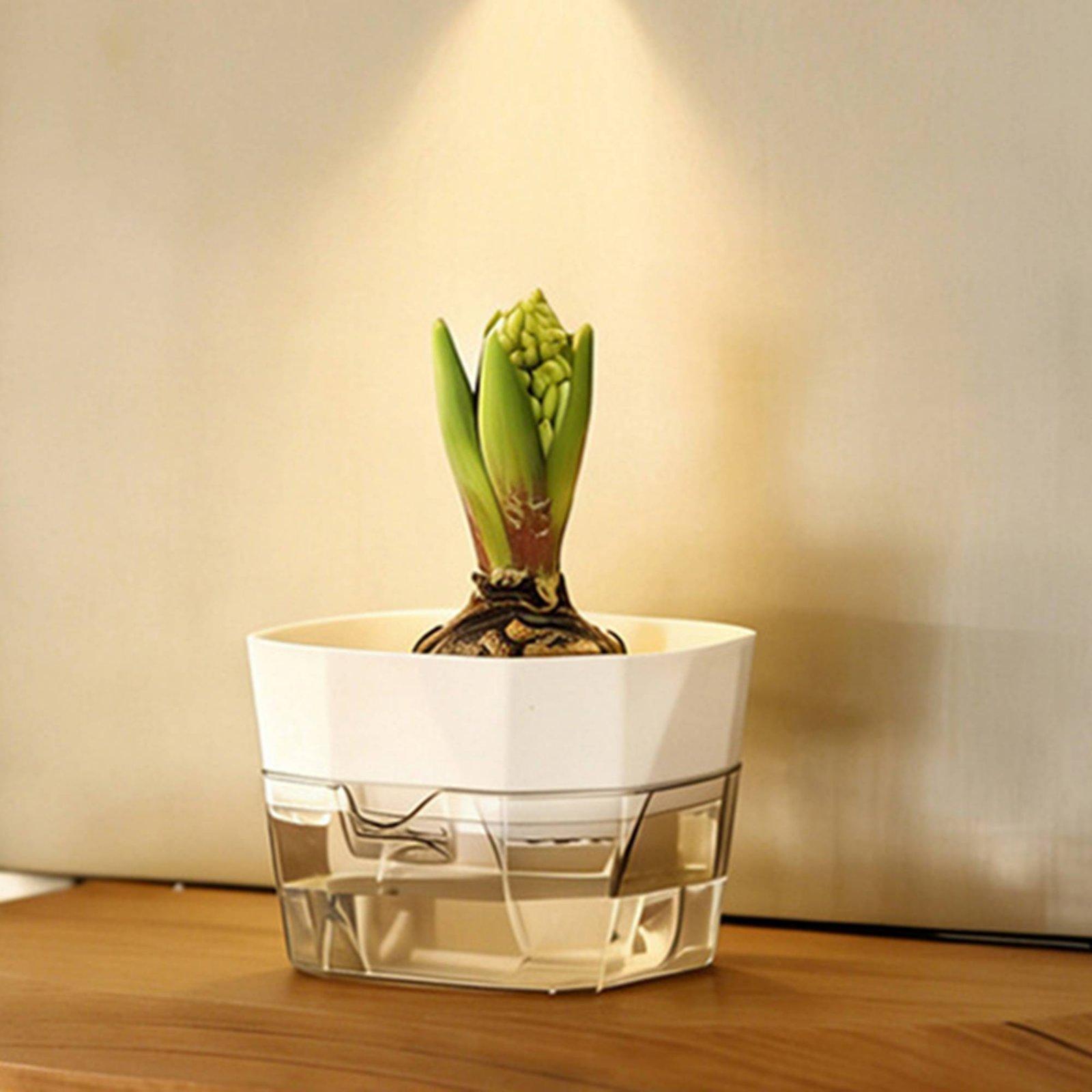 Hydroponic Vase Two Layer Self - огляд і ціна Indoor Plants