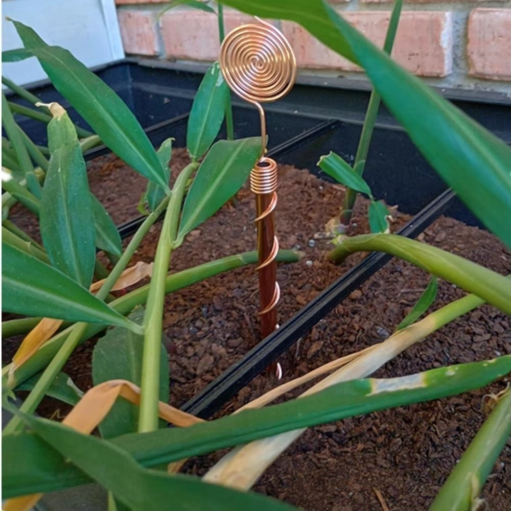 Spiral Coil Electroculture Pla - огляд і ціна Plant Support Stake