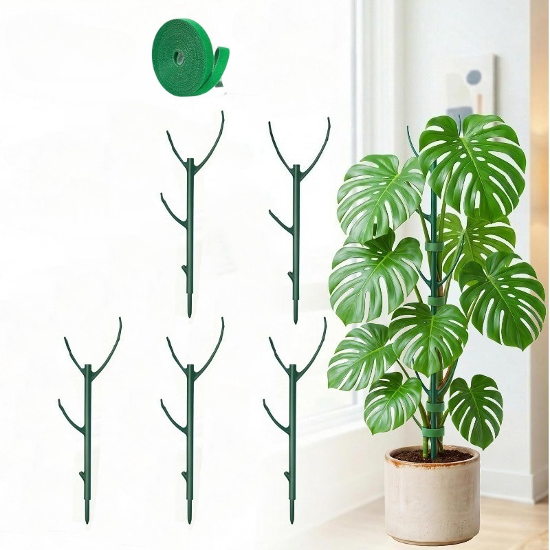 Monstera Plant Support Stakes  - огляд і ціна Plant Support Stake