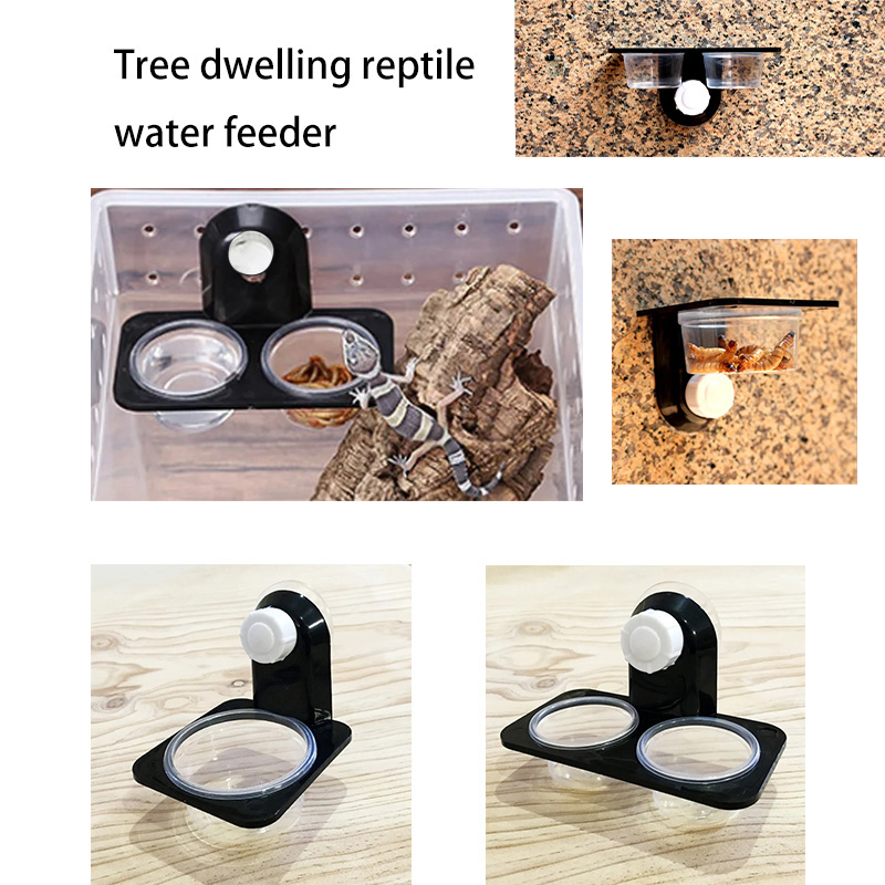 Reptile Tank Accessories Insec - огляд і ціна Snake Plant