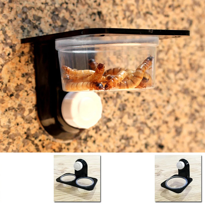 Reptile Tank Accessories Insec - огляд і ціна Snake Plant