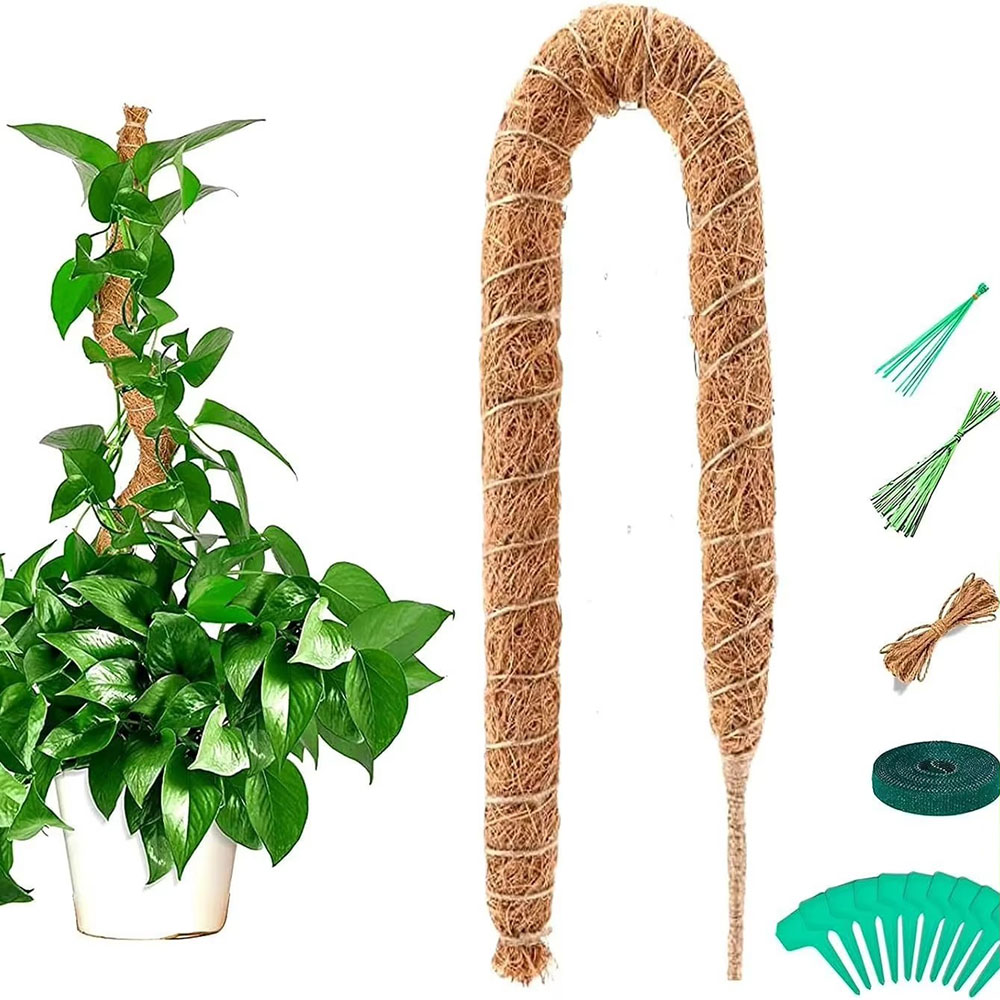 Horticultural Coconut Palm Sti - огляд і ціна Pothos