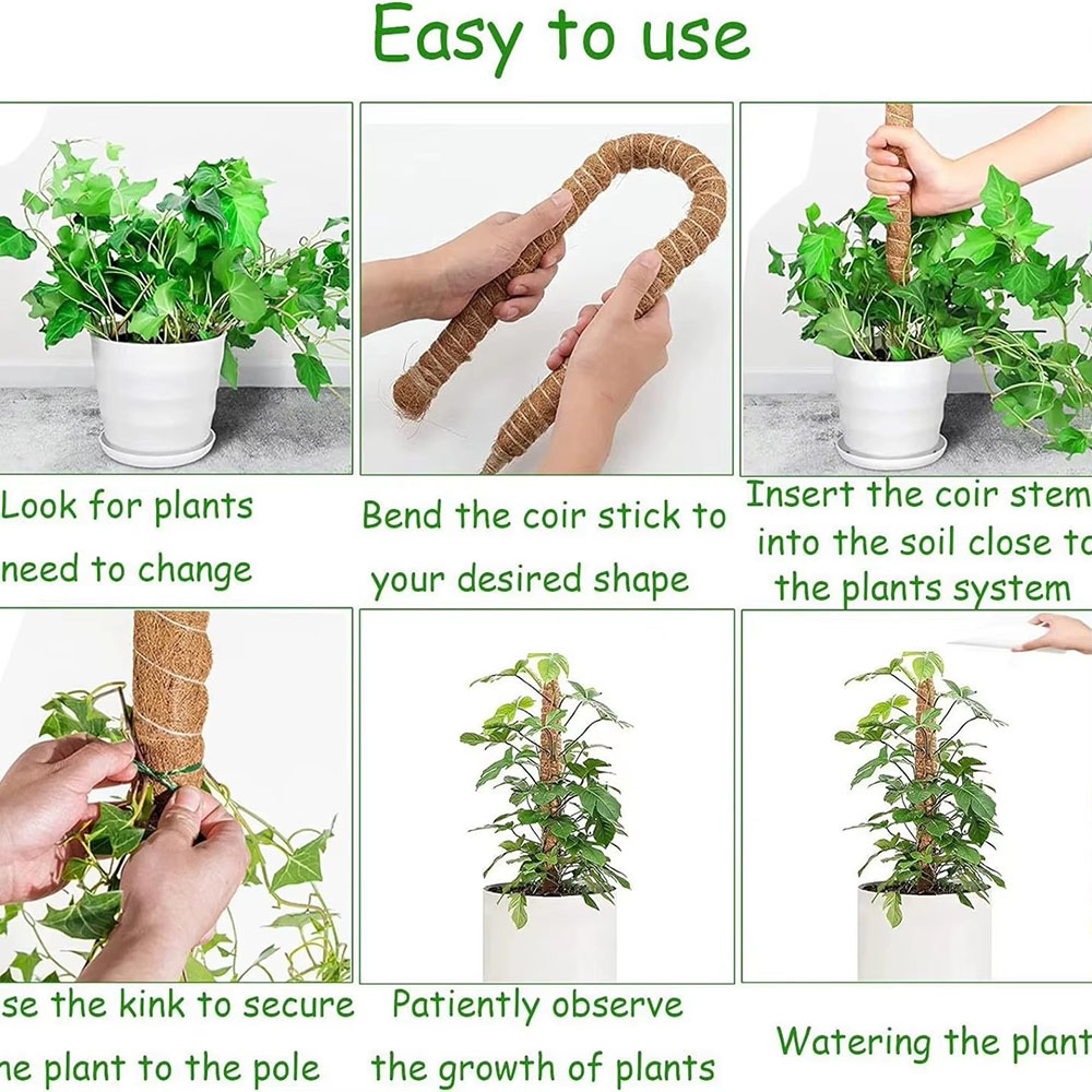 Horticultural Coconut Palm Sti - огляд і ціна Pothos