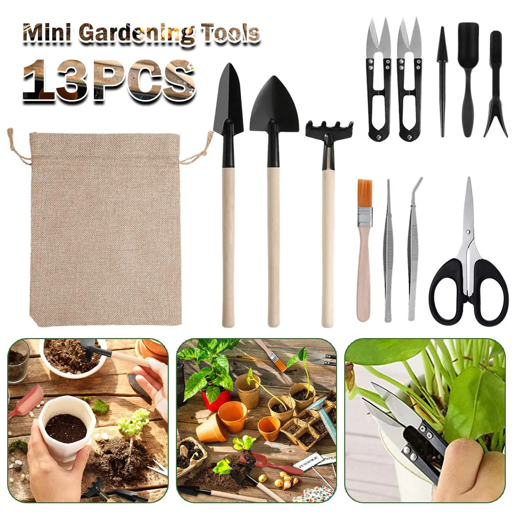 13PCS Succulent Plants Tool Se - огляд і ціна Succulent Set
