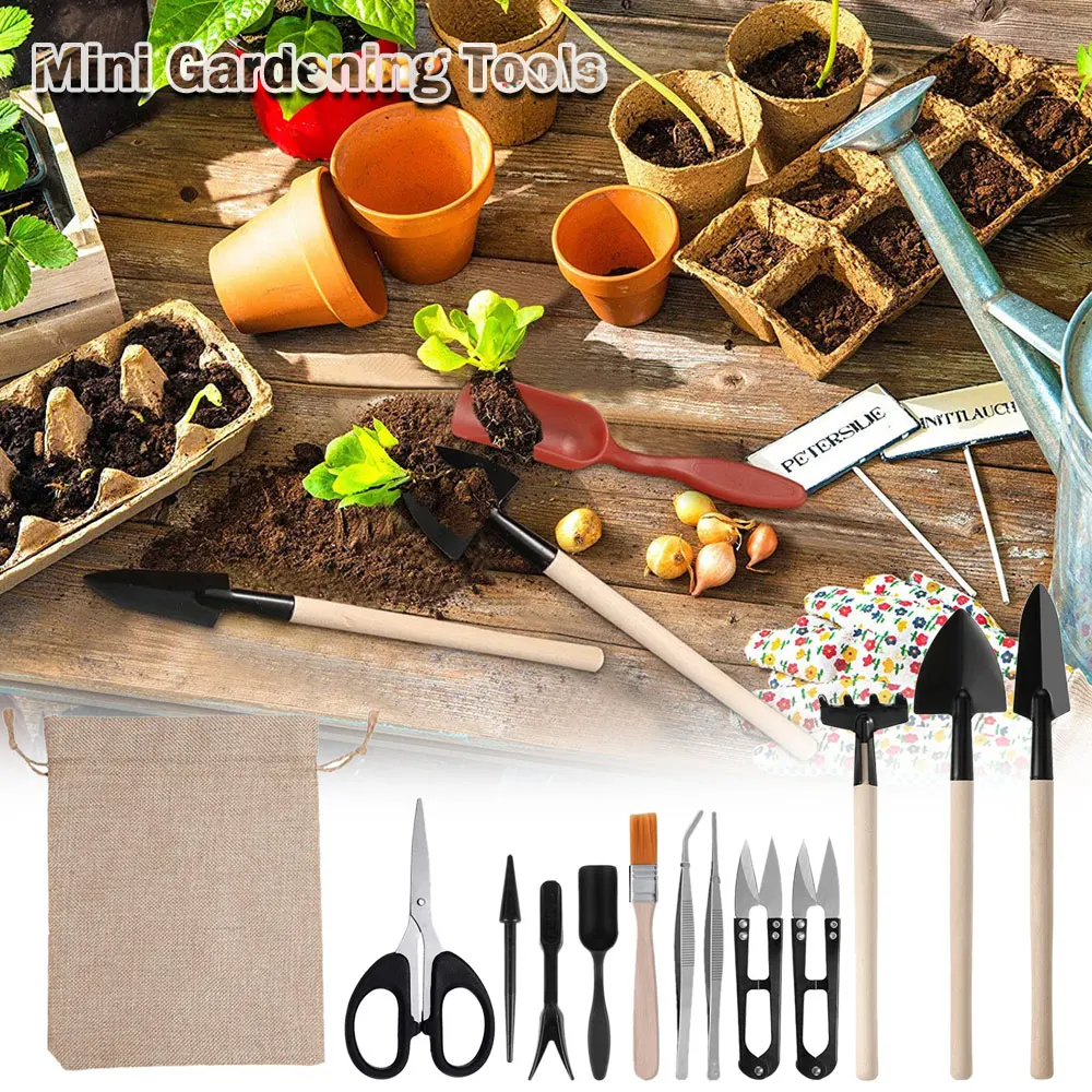 13PCS Succulent Plants Tool Se - огляд і ціна Succulent Set