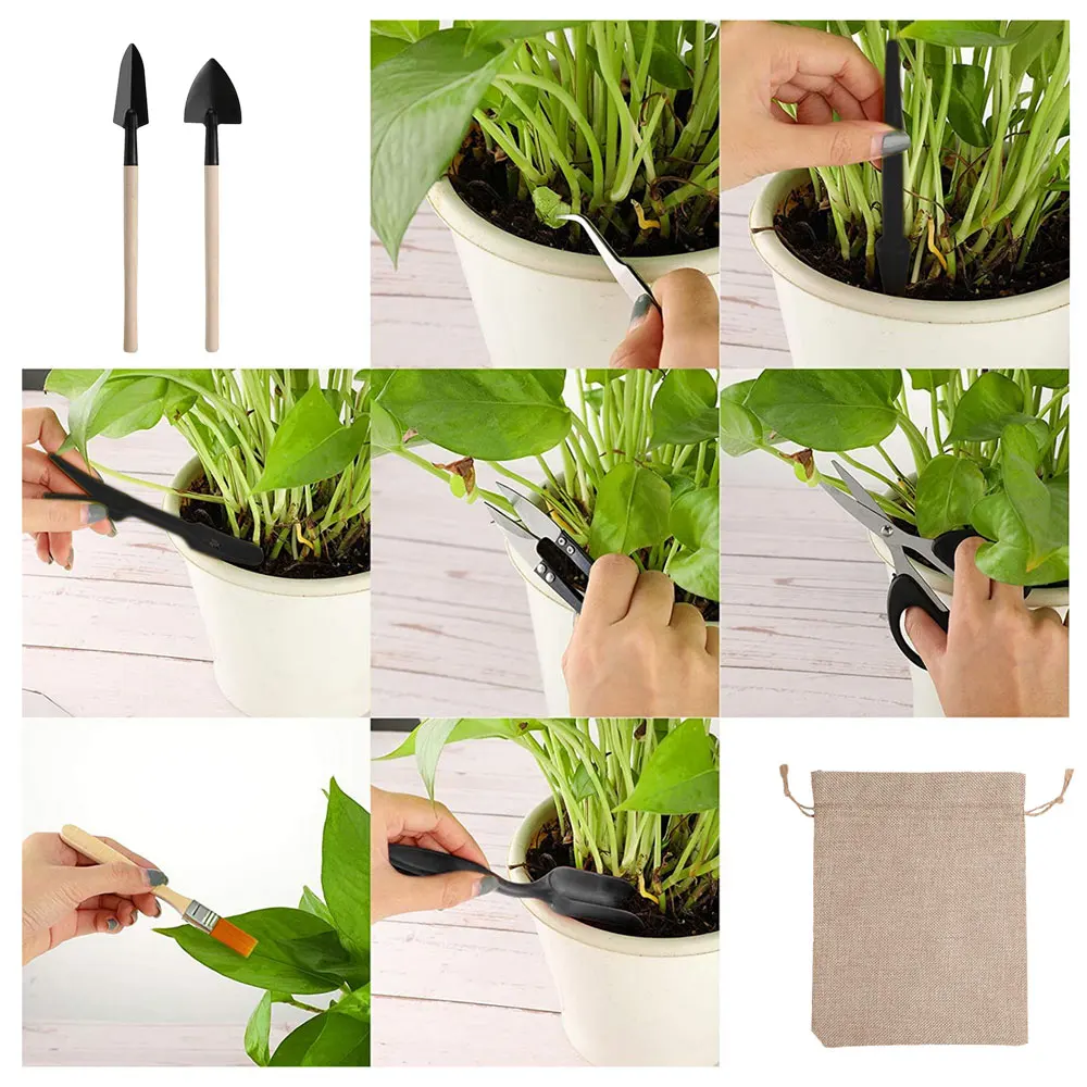 13PCS Succulent Plants Tool Se - огляд і ціна Succulent Set