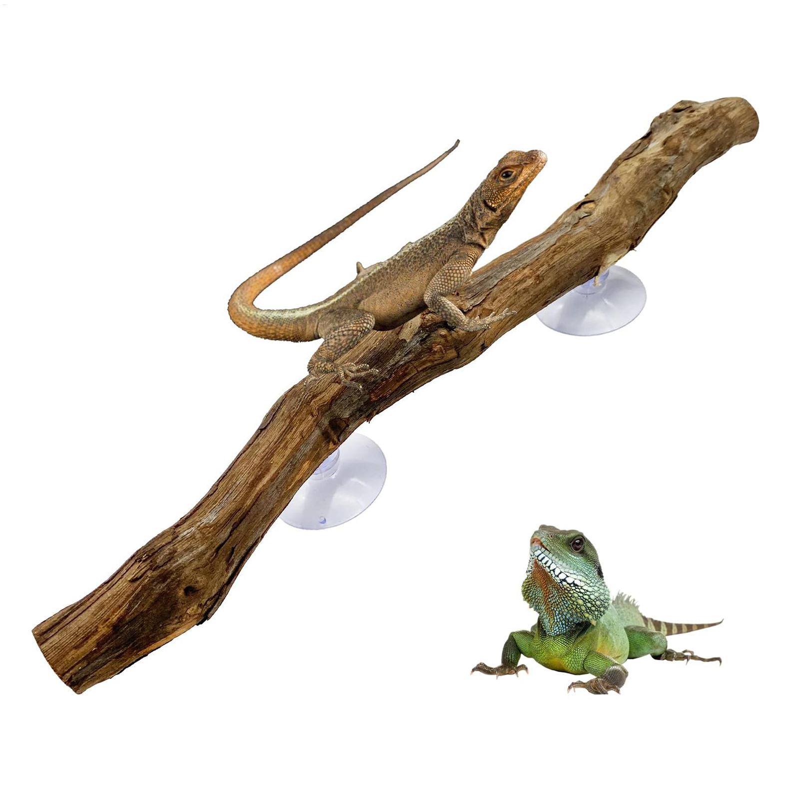 Reptile Climbing Corner Stick  - огляд і ціна Snake Plant