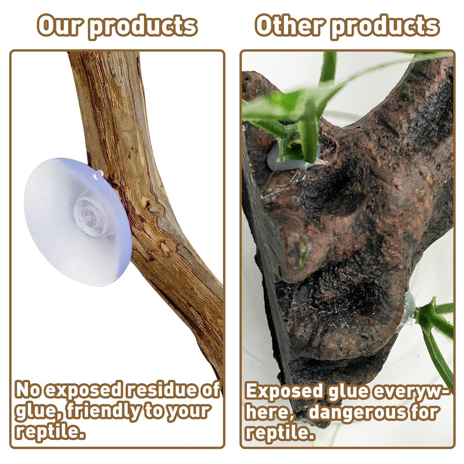 Reptile Climbing Corner Stick  - огляд і ціна Snake Plant