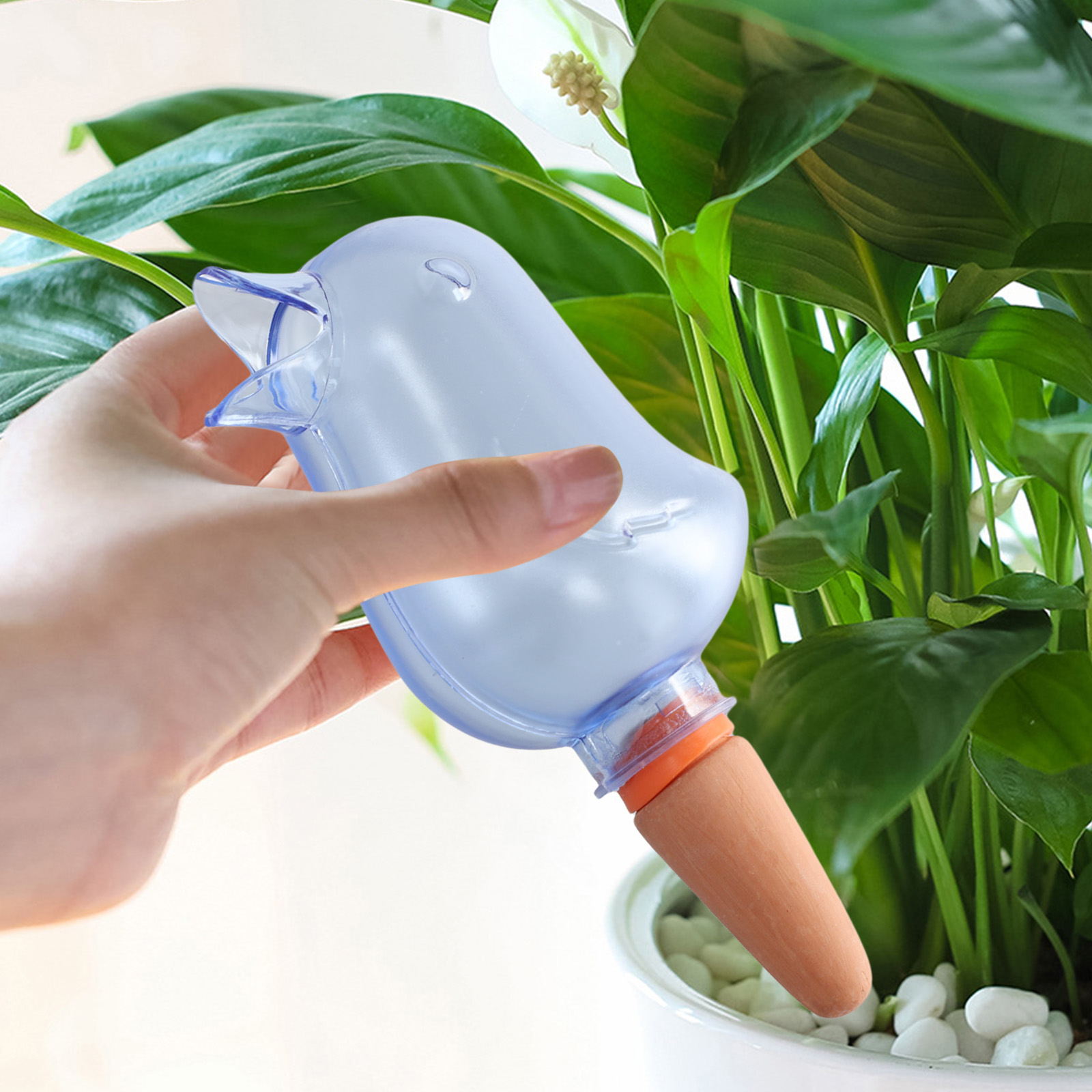 Automatic Plant Drip Irrigatio - огляд і ціна Pothos