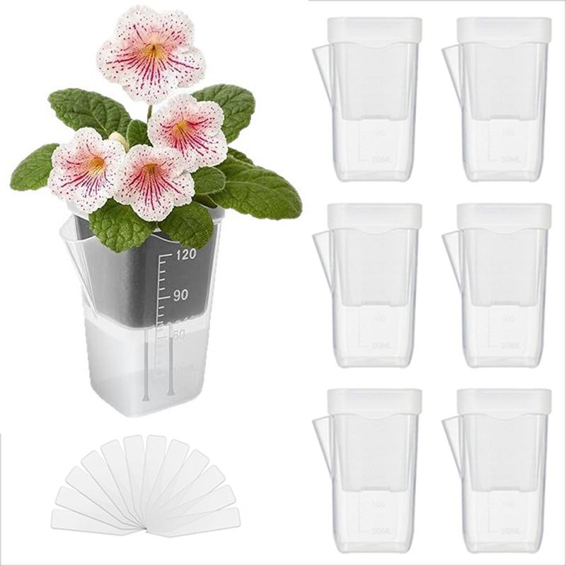 16/32 Pack Self-Watering Plant - огляд і ціна Pothos