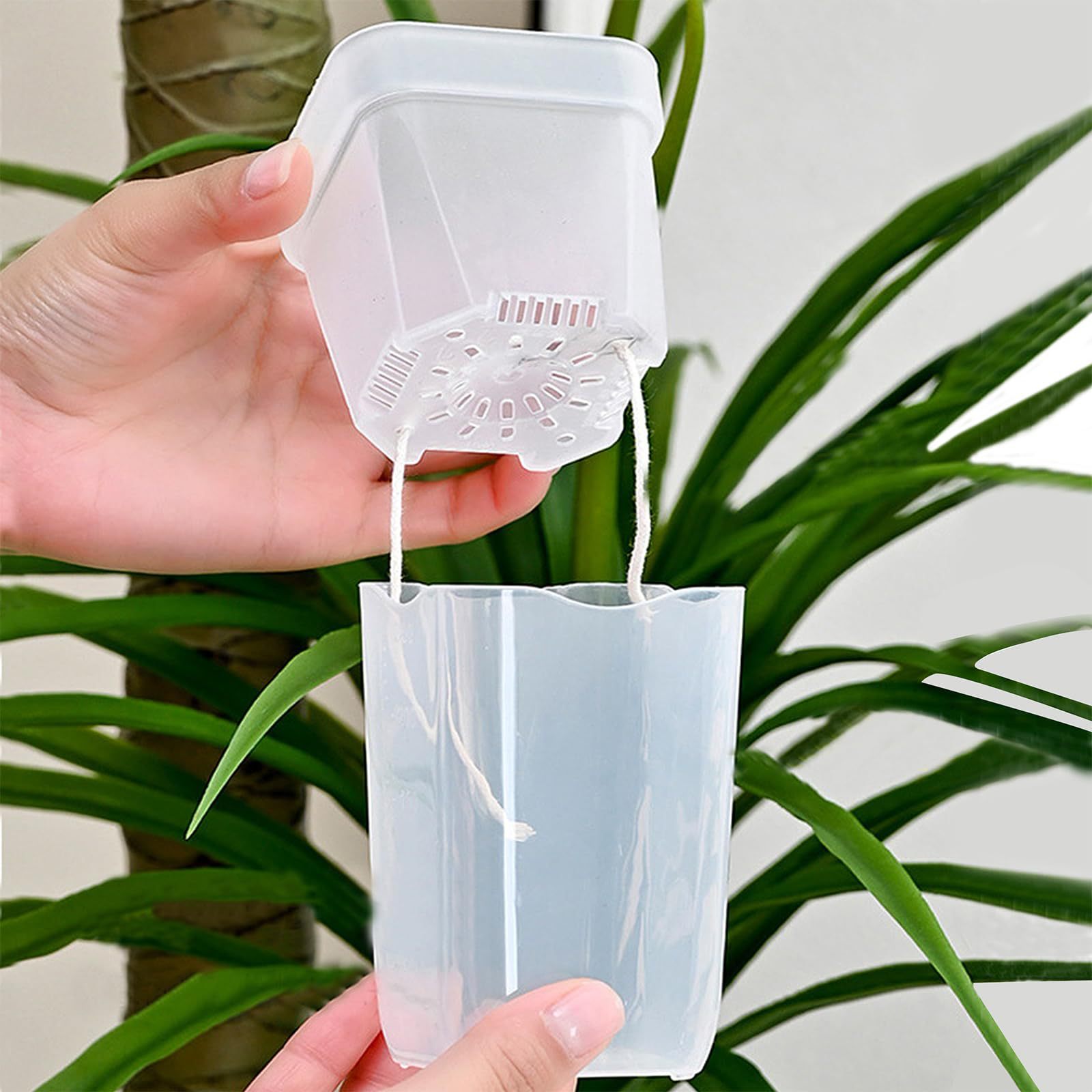 16/32 Pack Self-Watering Plant - огляд і ціна Pothos