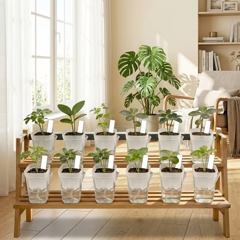 16/32 Pack Self-Watering Plant - огляд і ціна Pothos