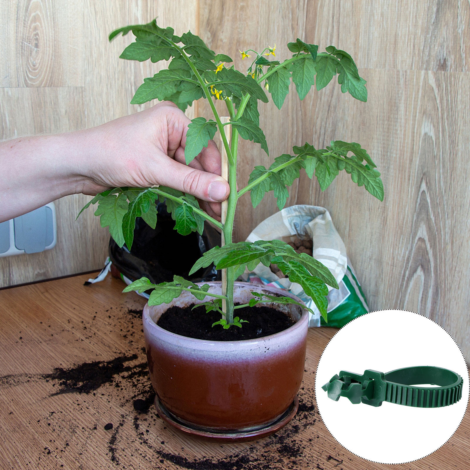 20Pcs Vine Fixing Buckle Garde - огляд і ціна Plant Support Stake