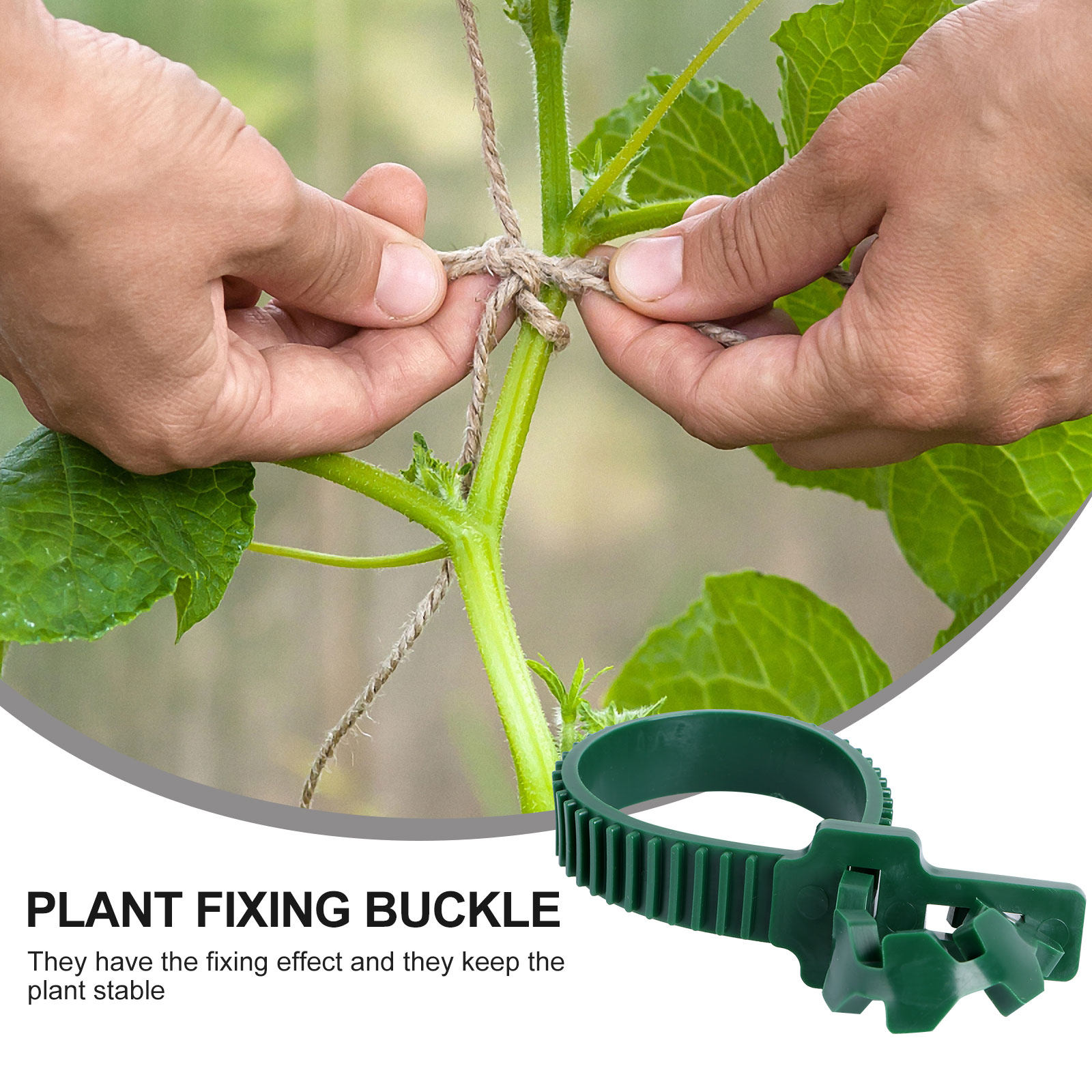 20Pcs Vine Fixing Buckle Garde - огляд і ціна Plant Support Stake