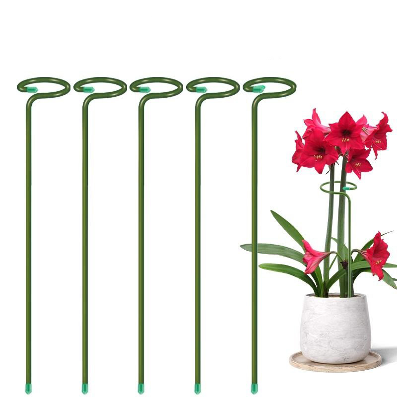 1-10pcs Metal Single Stem Plan - огляд і ціна Plant Support Stake