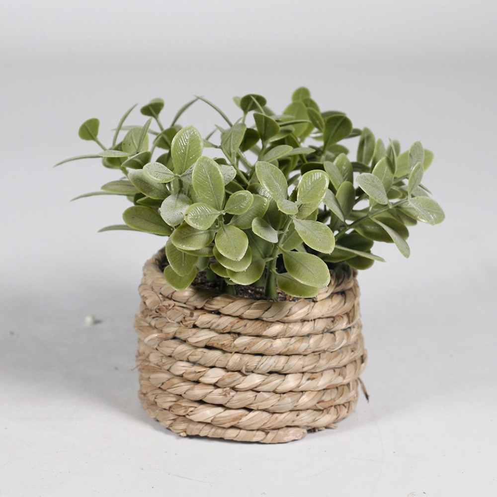 Green Artificial Potted Plant  - огляд і ціна Succulent Set