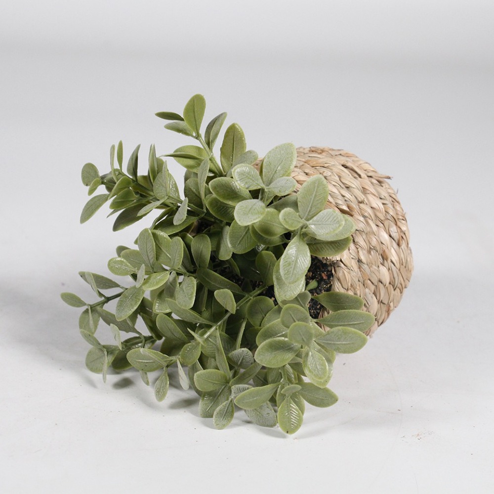 Green Artificial Potted Plant  - огляд і ціна Succulent Set