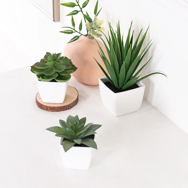 3PCS Artificial Evergreen Plan - огляд і ціна Succulent Set