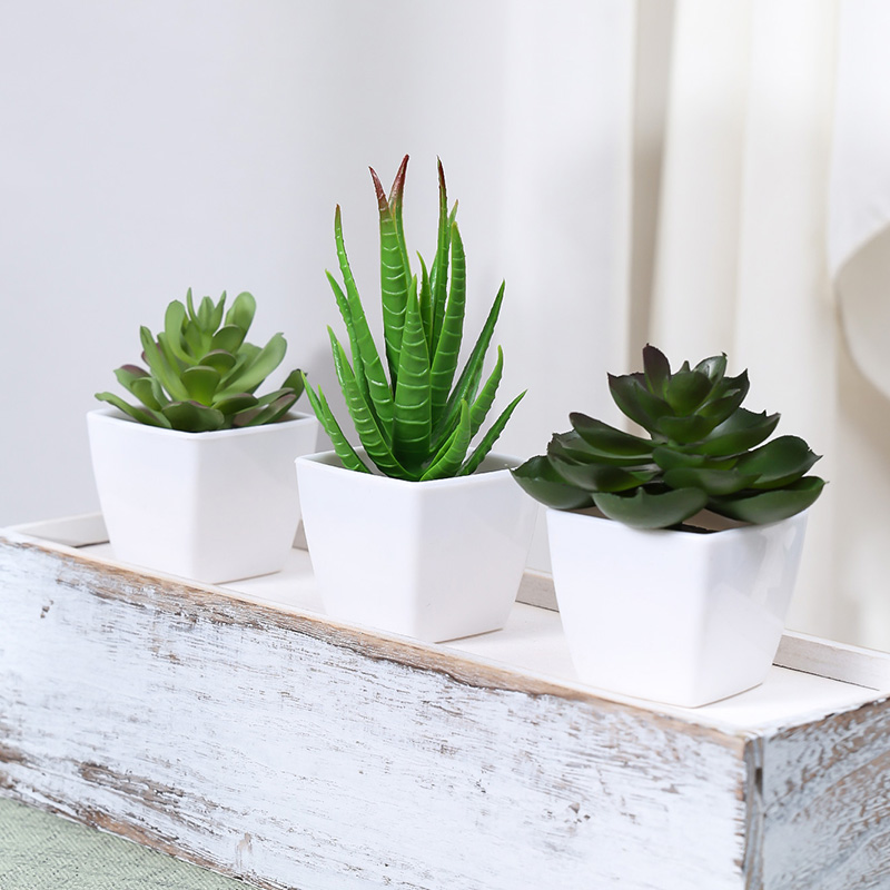 3PCS Artificial Evergreen Plan - огляд і ціна Succulent Set