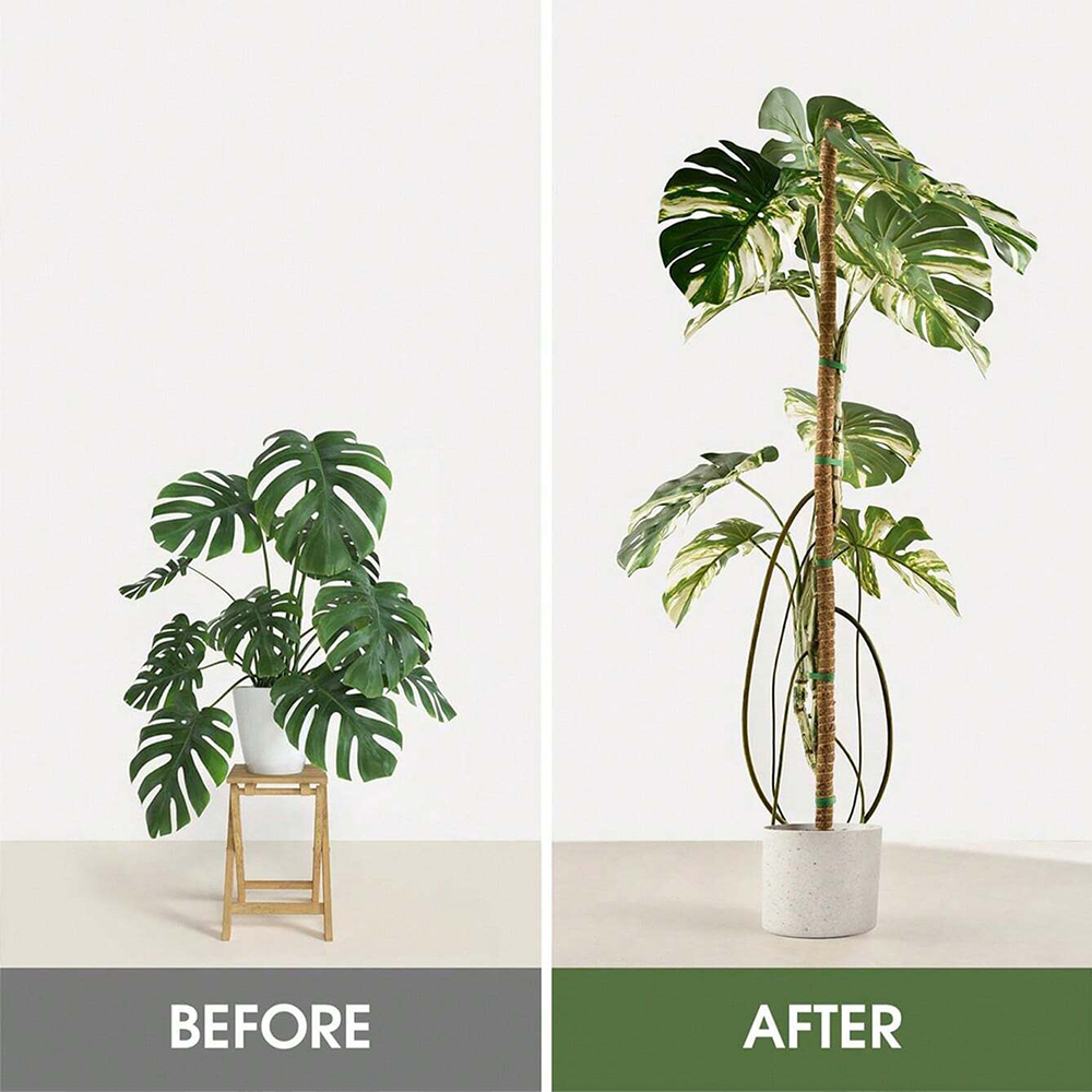 Moss Pole for Plants Monstera  - огляд і ціна Plant Support Stake