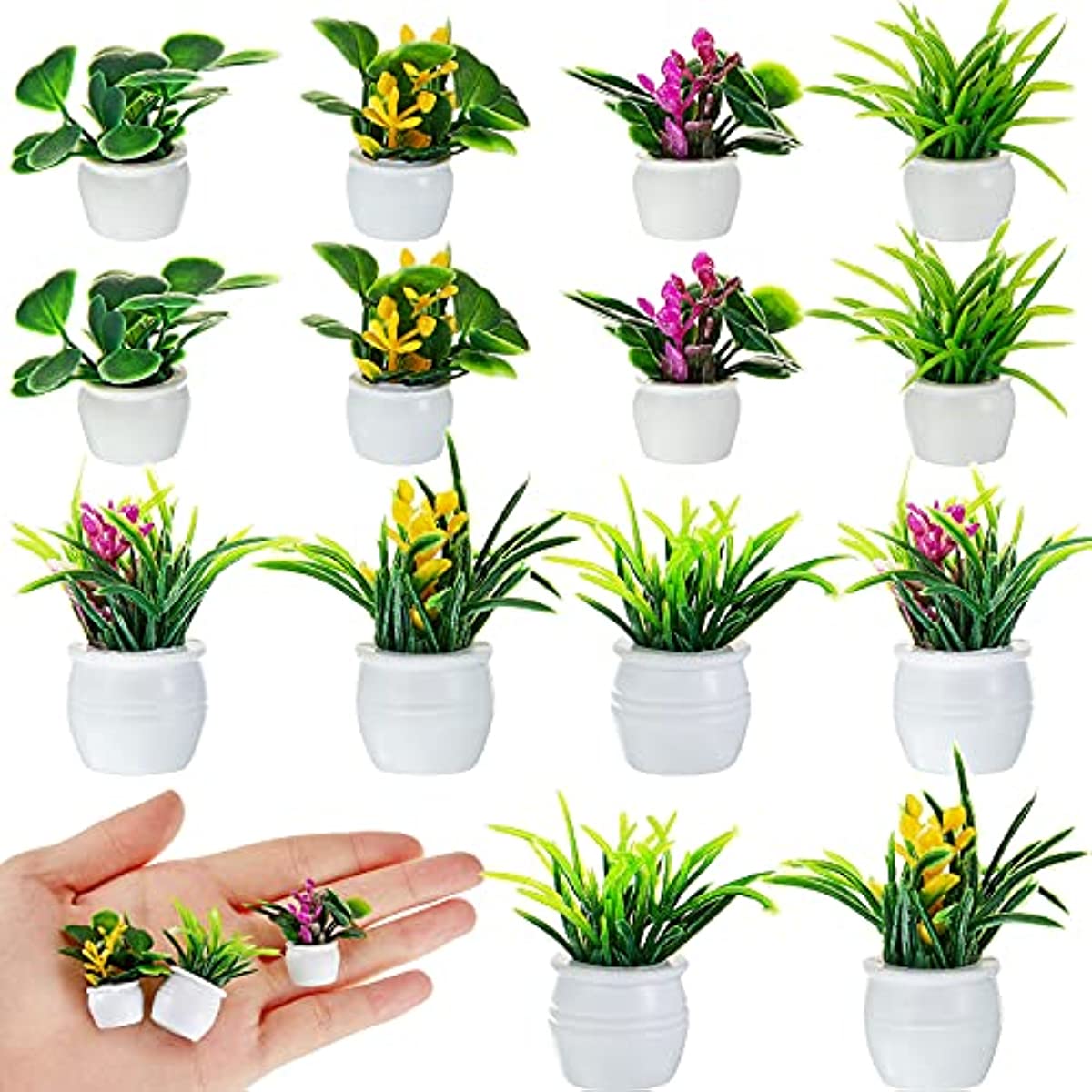 Dollhouse Plant, Miniature Bon - огляд і ціна Terracotta Pot