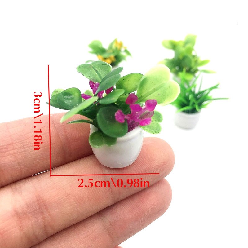 Dollhouse Plant, Miniature Bon - огляд і ціна Terracotta Pot