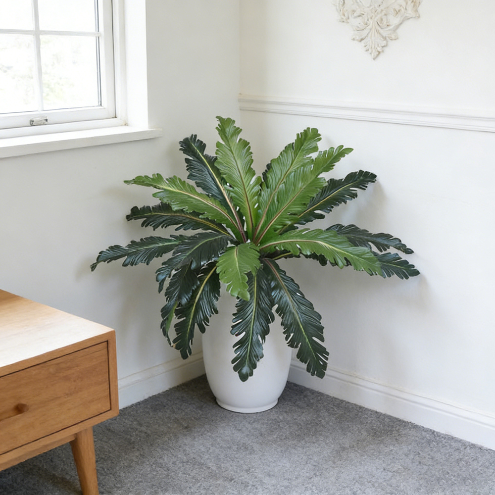 45-50cm Tropical Fake Persian  - огляд і ціна Snake Plant