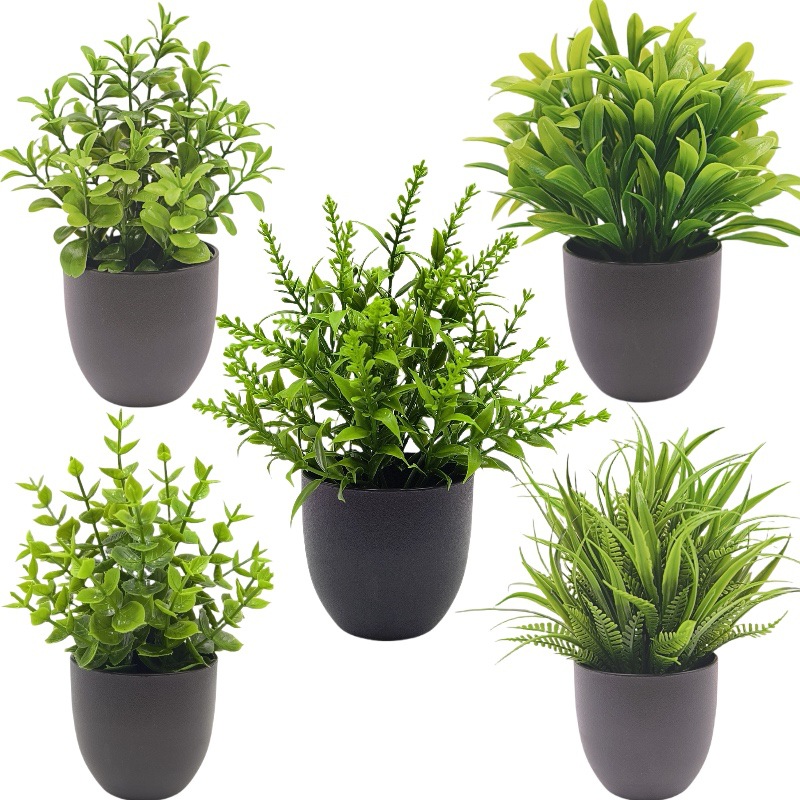 Simulation Green Plant Bonsai  - огляд і ціна Succulent Set