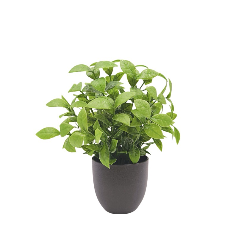 Simulation Green Plant Bonsai  - огляд і ціна Succulent Set