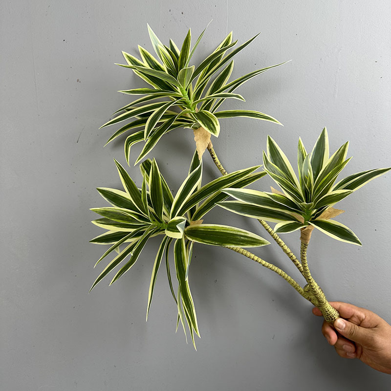 Simulated Green Plants 3 Heads - огляд і ціна Snake Plant