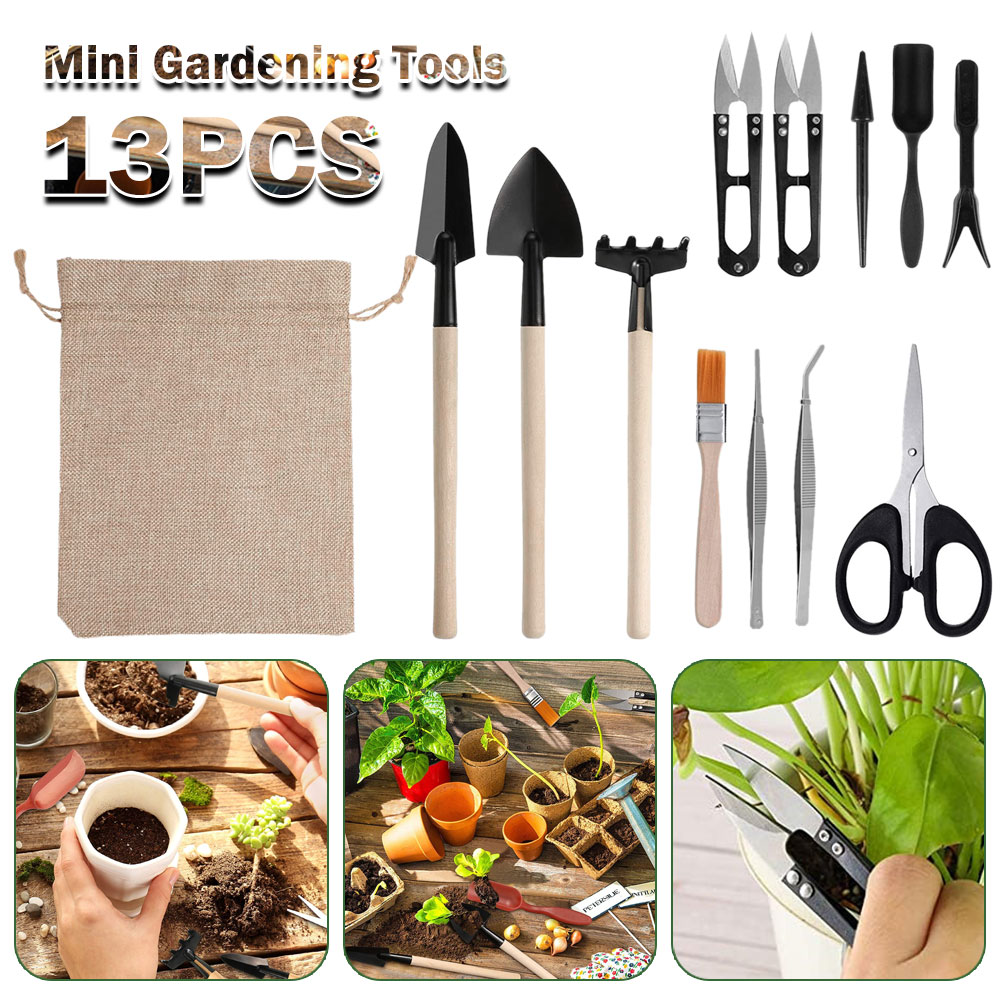 Succulent Plants Tools Mini Ga - огляд і ціна Succulent Set
