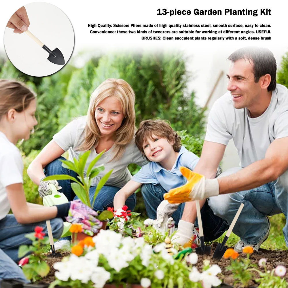 Succulent Plants Tools Mini Ga - огляд і ціна Succulent Set