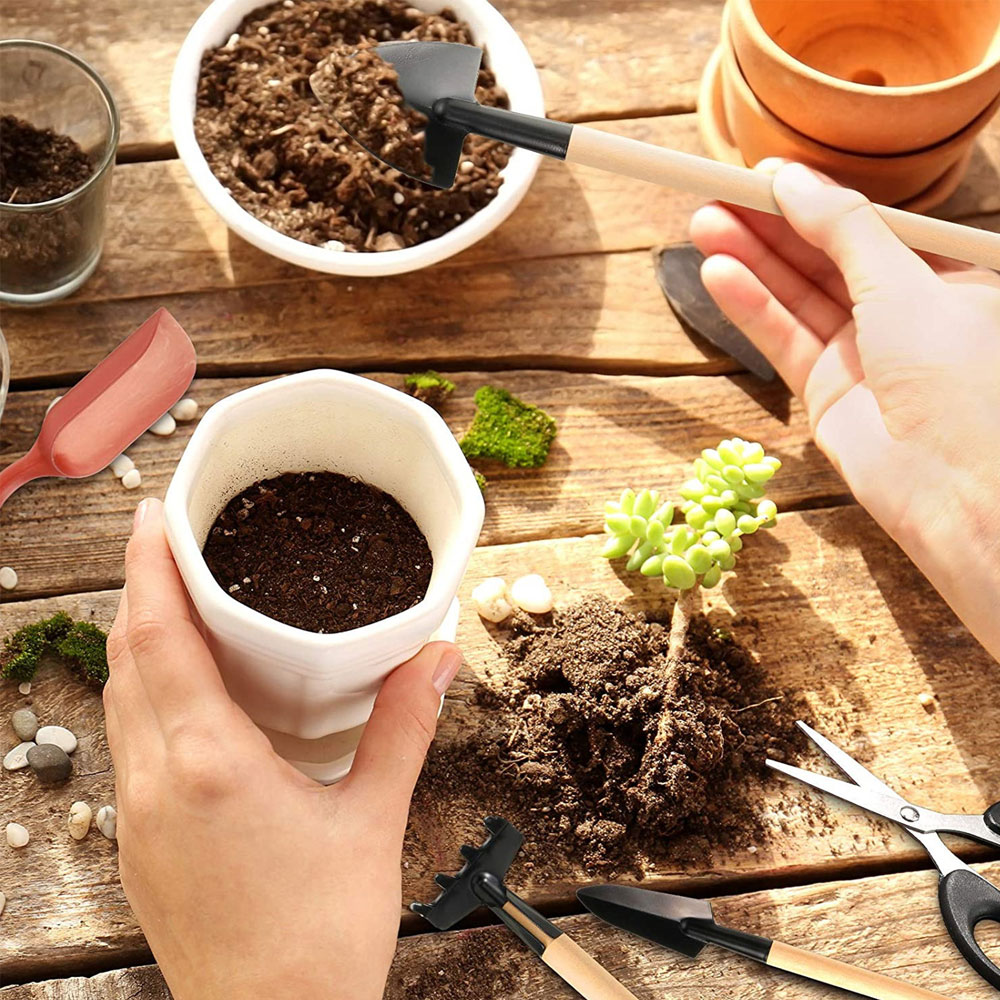 Succulent Plants Tools Mini Ga - огляд і ціна Succulent Set