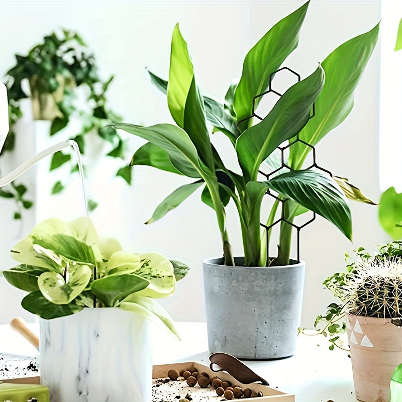 1PC Honeycomb Design Plant Tre - огляд і ціна Terracotta Pot