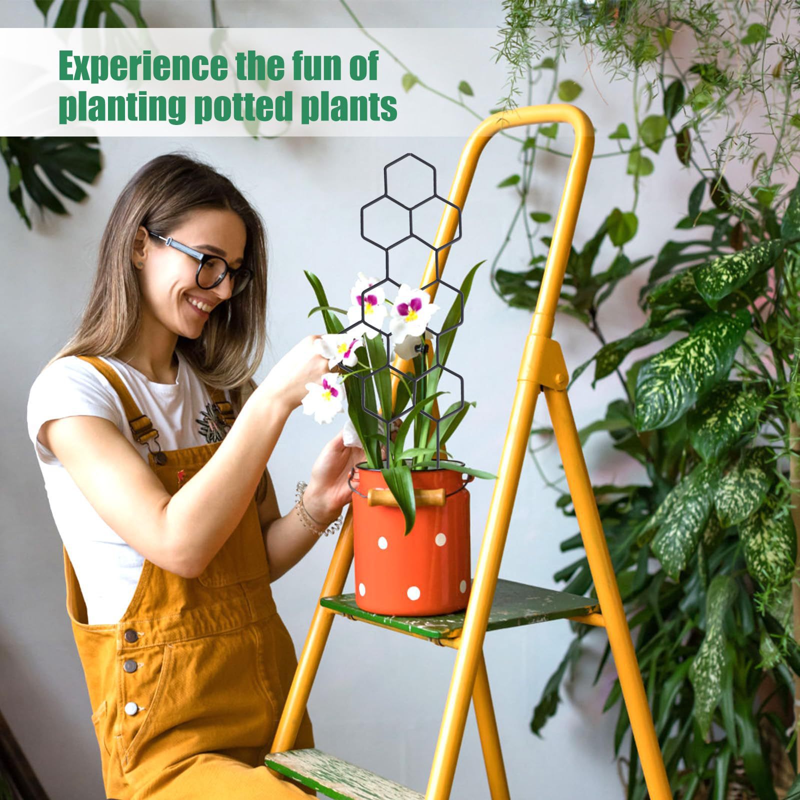 1PC Honeycomb Design Plant Tre - огляд і ціна Terracotta Pot
